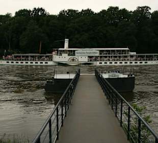 Schaufelraddampfer in Pillnitz