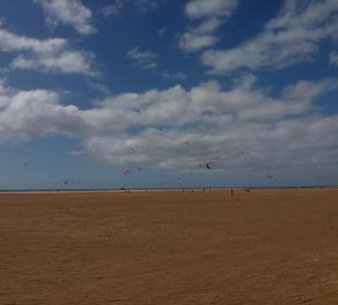 Bei Costa Calma / Windsurfing 