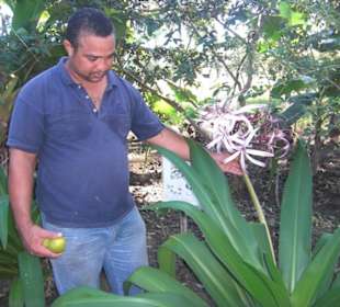 Botanischer Garten auf Tropical River Tour