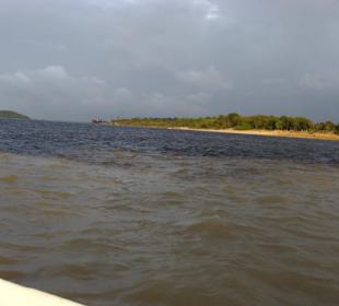 Orinoko,Caroni