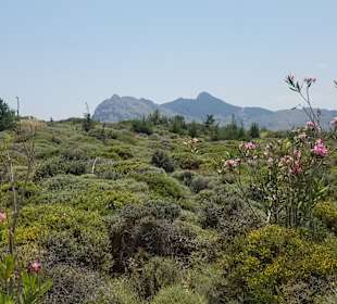 Park beim Hotel Relax