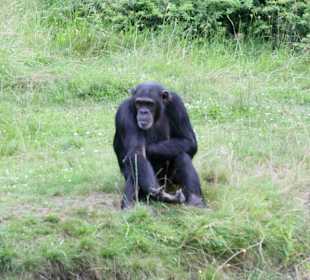 Serengeti Park Hodenhagen