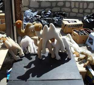 Typische Mitbringsel