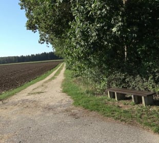 Kelten-Erlebnis-Pfad Erkenbrechtsweiler