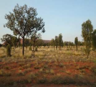 Ayers Rock / Uluru