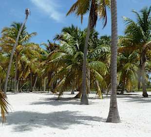 Insel Saona - Paradies