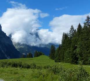 Angenehme Steigungen und Flach wechseln sich ab