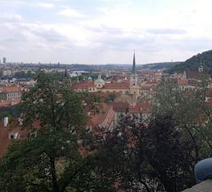 Aussicht vom Park