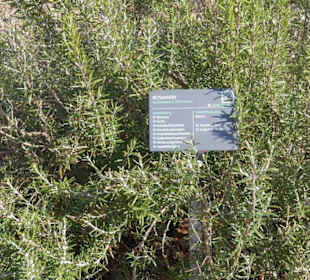 Erläuterungen der Kräuter