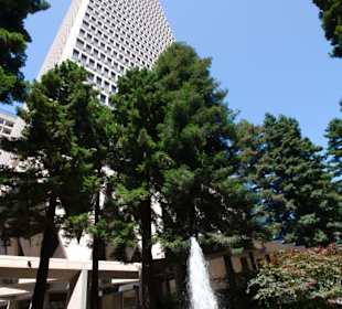 Transamerica Redwood Park