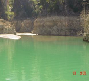 Einfach nur Natur genießen