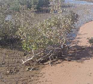 Fahrradausflug in die Wüste