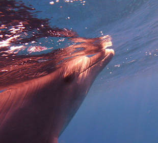 Muss mal schauen was da los ist...