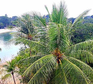 Ausblick Aussichtsturm