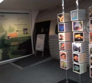 Tierpark Hellabrunn - Welt der Affen