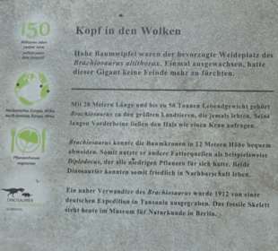 Dinosaurier Museum Altmühltal