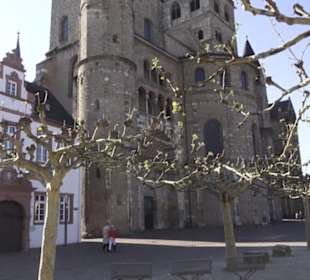 Domfreihof