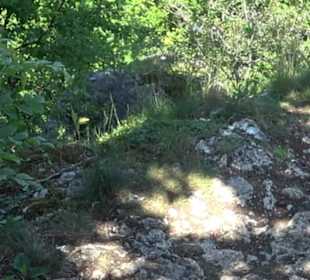 Premiumwanderweg "hochgelegen"