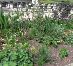 Wanderung Klosterquelle Klosterreichenbach