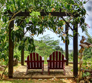Jardin de Roi / Garten des Königs