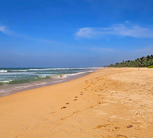 Strand