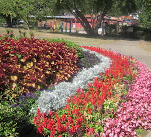 Kurpark Bad Bergzabern