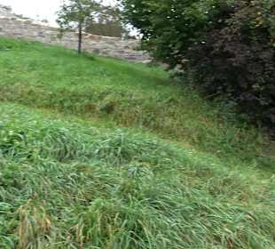 Altwege Rundwanderung Bebenhausen