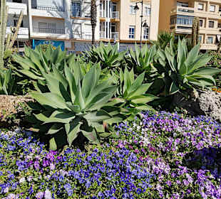 Strandpromenade Estepona
