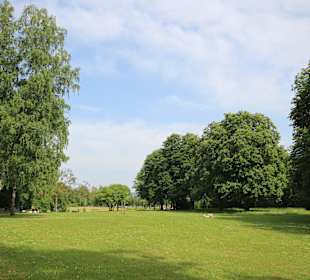 Licht und Schatten im Kurpark