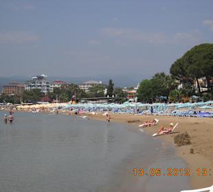 Strand