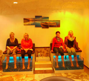 Spaß bei unseren Knabberfischen