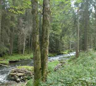 Von Bayerisch Eisenstein nach Ludwigsthal