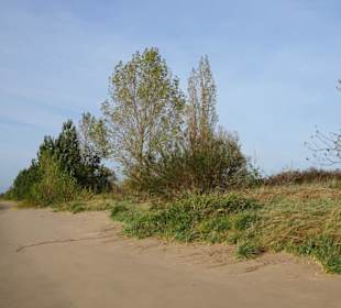 Impressionen von der Weserinsel Harriersand