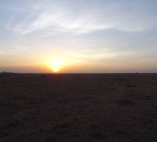 Sonnenaufgang im Nairobi Nationalpark