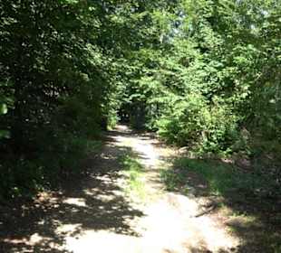 Naturerlebnispfad Sternberg