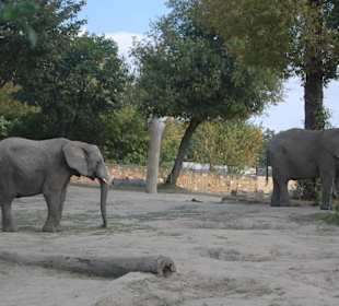 Zoo Warszawa