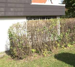 Aussegnungshalle Lonsingen