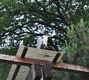 Tierpark Olderdissen