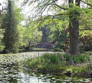 Der See und die Brücke