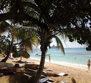 Ausflug nach Catalina