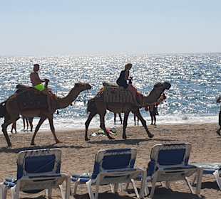 Strand Alanya