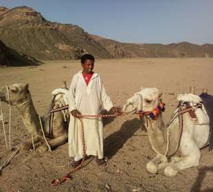 Unser Kamelführer