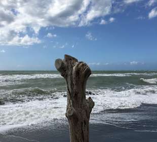 Strand Marina di Cecina