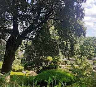 Japanischer Garten in Kaiserslautern