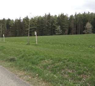 Wanderweg Firstwaldrunde