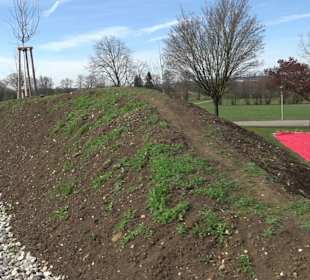 Gomaringer Rundweg - Zu den Giganten im Wald