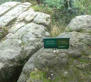 Felsenburg Neurathen