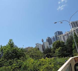 Mit dem Hop-on hop-off Bus in Sydney unterwegs