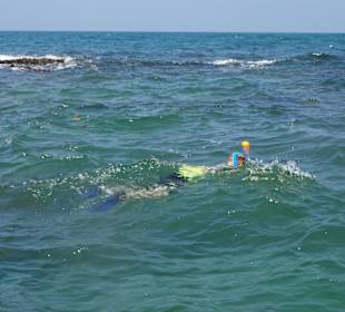 Schnorcheln bei Negombo