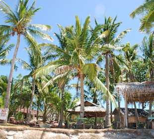 Paradise Island